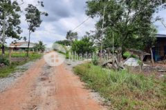 Đất vườn trồng mít măng cụt sầu riêng