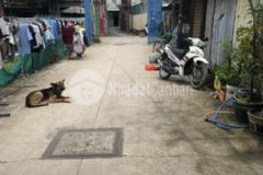 Cần sang lại lô đất thổ h bình chánh