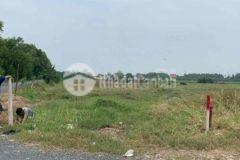 1000m2 thổ vườn đường hoàng phan thái giá 4 8tỷ