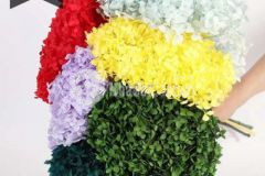 Nhà 62m² hẻm xe tải đường tô hiệu giá tôt nhất khu