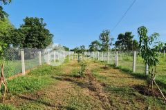 Bán lô đất đường nhựa cấp phối xã long tân. huyện đất đỏ. brvt