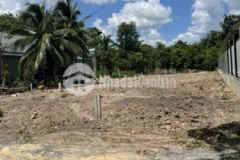 2 lô liền kề cách dt782 chỉ 100m