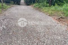 Cần bán vườn xoài xã la ngà đq đn