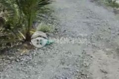 Đất lý nhơn an thới đông cần giờ 14 x 76