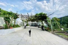 Biệt thự vườn 415 m2 đường vườn lài quận 12