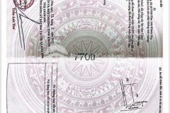 Chủ ngộp bán gấp lô góc 2 mặt tiền tại thạnh mỹ ninh quang