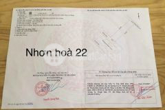 Bán 3 lô đát đường 5 tại hoà an cẩm lệ tp đà nẵng.