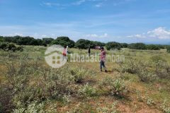 Chủ ngợp cần bán nhanh lô đất gần biển, ngay đường nhựa liên huyện, shr, lh0946071867