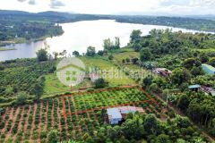 Đất hẻm đào duy từ giá sốc cho đầu tư cách hồ 100m khu dân cư