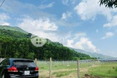 Cần bán 4 lô đất 1026m2 1645m2 tại suối tiền, cam lâm, khánh hoà. giá chỉ từ 900tr