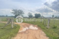 Đất đầu tư 3000m2 đất cln đối diện cổng kdl safari 3300ha sổ riêng