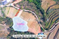 Đất nền vùng ven sapa phù hợp làm homestay,biên độ lợi nhuận tăng giá cao