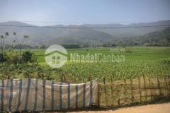 Đất s500m có 120 thổ cư tại cư yên lương sơn hb