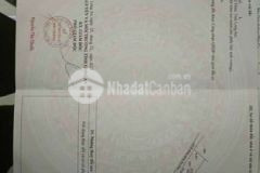 Chủ ngộp cần ra gấp lô góc 2mt mỹ phú thủ thừa