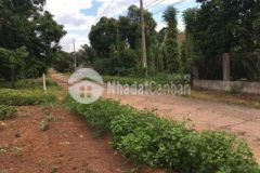Bán 7500m2 đất mặt tiền đường chà rang xuân thọ