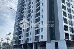 Căn góc bluestar trâu quỳ 2n2vs view thành trung