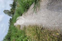 983mv vườn mít chưa tới 400 hết đất