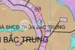 Đất vườn hồng 9 5 sào 400mtc nhà kiên cố 1pk 3pn