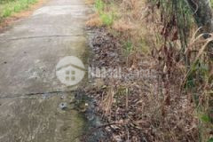 Đất xẻo tre bờ phải 210mv có 80mv đất thổ