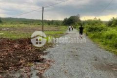 Sỉ và lẽ 24 nền sổ sẵn hớn quản bình phước