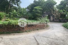 Bán 198m đất lô góc tại đường trần phương xã tam hưng thanh oai đường oto 7 chỗ