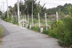 Chính chủ bán lô đất mt đường liên doanh, đa phước, bình chánh, 2.323m2 chỉ 22 tỷ.