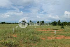 Đất vườn ven biển bình thuận chỉ 5xxtr 2295m2 liền kề các kđt của tập đoàn lớn như rạng đông, nova