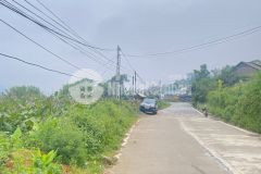 Mảnh đất có view ruộng bậc thang siêu đẹp, giá cũng siêu đẹp luôn