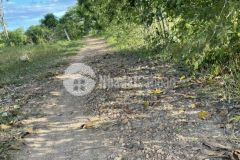 Bán đất cây lâu năm hồng liêm ngay dân cư có đường hiện hữu chỉ 350tr có vị trí đẹp lh 0938677909