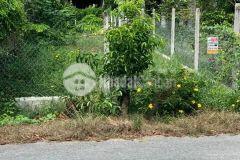 Chính chủ bán gấp lô đất xã tân thông hội, 162m2 giá 2ty5, sổ hồng riêng, khu dân cư