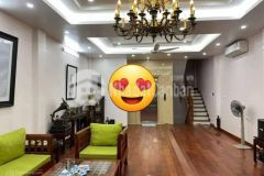 Bán nhà phố nguyễn du, hai bà trưng 7 tầng tm, 52m2, mt 5m, giá nhỉnh 25 tỷ.