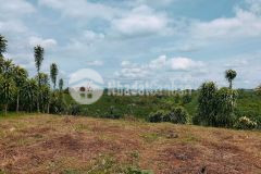 Đất nền bảo lộc đón sóng cao tốc,thanh khoản nhanh,pháp lý rõ ràng