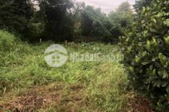 Đất hẽm trần quý cáp tp bmt giá siêu rẽ