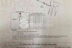 Quỹ đấy hiếm hoi giữa lòng q4 cho các nhà đầu tư