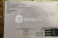 Đường số 11 kdc 135 thị trấn bến lức