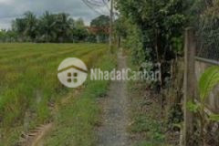 Đất cần bán gấp xây nhà trọ dc cách 830 mới 100m