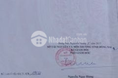 Mại dzô bán đất nhơn trạch diện tích lớn giá rẻ