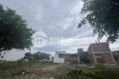 Đất phú bình vĩnh thạnh