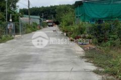 Bán đất đường tân lập 08