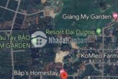 Đất komleo 6x50 hoà thắng bmt