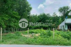 Vỡ nợ bán 80m2 tc dương công khi hóc môn 1 3 tỷ