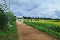 Đất sào ôm suối đường bê tông ô tô