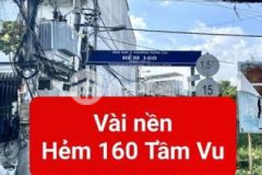 Bán nền trục chính hẻm 160 tầm vu hưng lợi nk