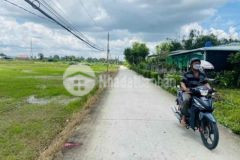 Ngay nhà máy bảo đài lạc tấn tân trụ đường 5m