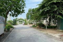 Chính chủ bán đất đấu giá dương nội