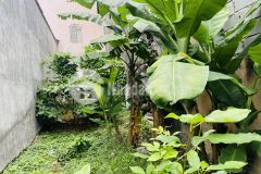 Đường số 21 phường 8 gò vấp đường 8m 73m2 khu cao tầng