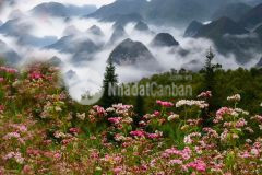 Bán đất hà giang chỉ vài trăm ngàn m2, mặt đường ql