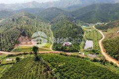 Đất 1000m2 và nhà xây sẵn chỉ 800tr tại lộc bảo