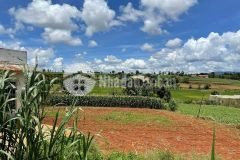 Bán 1500m2 có sẵn nhà cấp 4,với 30m mặt tiền tại tu tra đơn dương. giá 2.55 tỷ