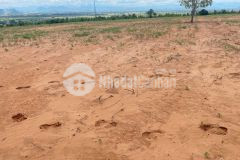 Bán lô đất tt lương sơn ngay khu rạng đông dt 8725m²giá 1 tỷ 308 triệu sổ sẵn.lh hoặc add zalo ạ